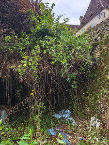 Photo de galerie - Jardinier