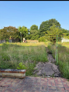 Photo de galerie - Remise en état d’un jardin ( Photo avant )