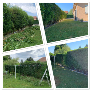 Photo de galerie - Ancienne employé d’une pépinière je peux faire tous les travaux d’entretien de votre jardin : taille de haie, mise en forme d’arbres et d’arbustes, plantation, tonte de pelouse, etc. 