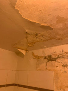 Photo de galerie - Peinture - Tapisserie