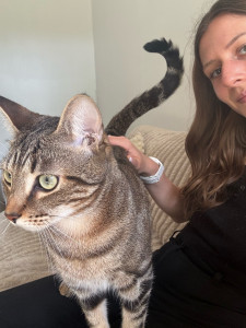 Photo de galerie - Garde chat