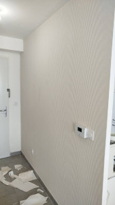 Photo de galerie - Renovation mur et pose de papier peint 
