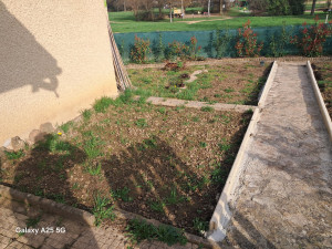 Photo de galerie - Paysagiste - Aménagement du jardin
