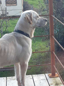 Photo de galerie - Humant l'air de la terrasse