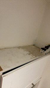 Photo de galerie - Grand nettoyage avant les fêtes