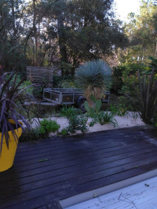 Photo de galerie - Jardin mexicain 