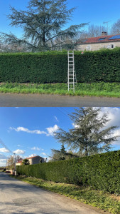 Photo de galerie - Remise à niveau