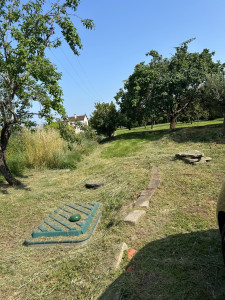 Photo de galerie - Débroussaillage et tonte