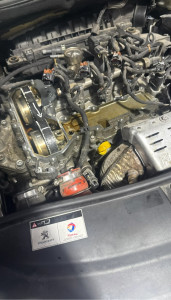 Photo de galerie - Et encore un moteur PureTech avec la distribution prête à se fendre en deux et casser le moteur. Dessus : Courroie de distribution, Galets, Pompe à eau, Courroie d’accessoires, Remplacement du carter d’huile, nettoyage de crépine, vidange et bougies