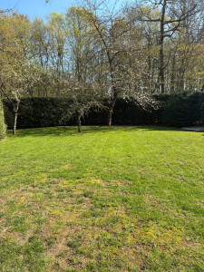 Photo de galerie - Tonte 