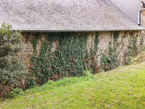 Photo de galerie - Avant nettoyage du fossé et du mur