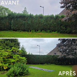 Photo de galerie - Taille de haies et d'arbustes