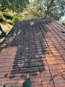 Photo de galerie - Nettoyage de toiture 