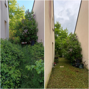 Photo de galerie - Débroussaillage et remise en état 