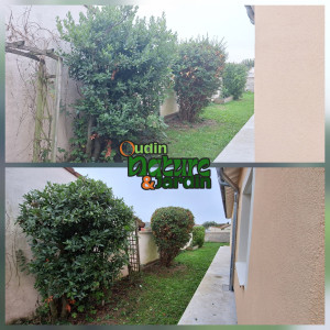 Photo de galerie - Taille de haies et d'arbustes