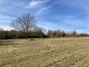 Photo de galerie - Débroussaillage/fauchage