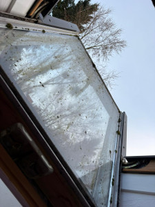 Photo de galerie - Ménage