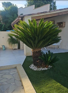 Photo de galerie - .