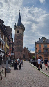 Photo de galerie - Polyvalente, dynamique, sérieuse, organisée, minutieuse, ponctuelle, 