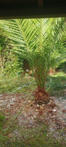 Photo de galerie - Avant 