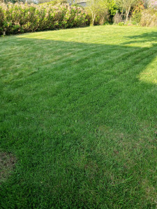 Photo de galerie - Tonte de pelouse sur plonevez du Faou 