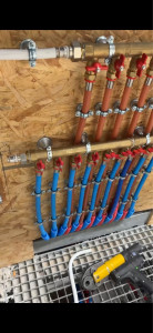 Photo de galerie - Nourrisse 