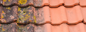 Photo de galerie - Couverture - Toiture