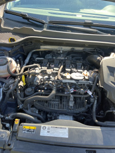 Photo de galerie - Vidange + disques plaquettes 