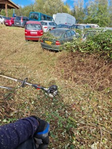 Photo de galerie - Jardinier