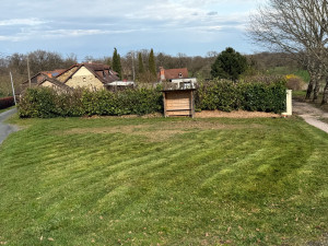 Photo de galerie - Tonte de pelouse - Débroussaillage