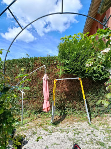 Photo de galerie - Taille de haie 