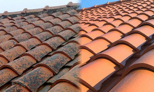 Photo de galerie - Nettoyage démoussage toiture terrasse