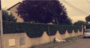 Photo de galerie - Taille de haie 