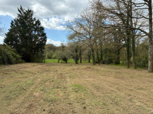 Photo de galerie - Gyrobroyage d’une parcelle