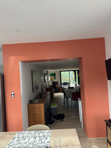Photo de galerie - Réalisation d’un mur d’accent orange dans une cuisine