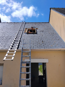 Photo de galerie - Couverture - Toiture