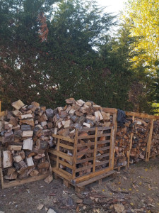 Photo de galerie - Bonjour comme vous le voyez aussi je fais tout ce qui est abattage d'arbre découpe de bois avec fendeuse si vous avez du bois chez vous à découper à fendre je le fais aussi naturellement et les mettrai à un endroit où il vous conviendra