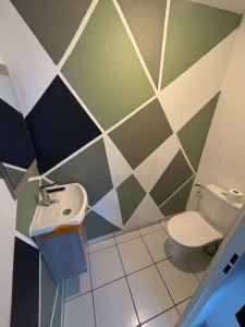 Photo de galerie - Remplacement toilette et mise en place robinet vasque +miroir 