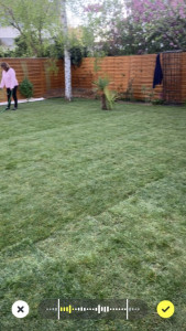 Photo de galerie - Paysagiste - Aménagement du jardin