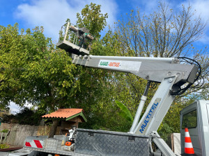 Photo de galerie - Taillage d’un arbre, cher un client .