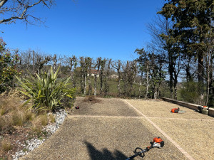 Photo de galerie - Rabattage d’une haie 