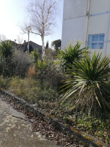 Photo de galerie - Avant 