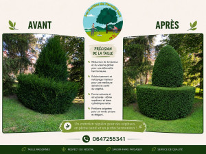 Photo de galerie - Taille spécifique 
