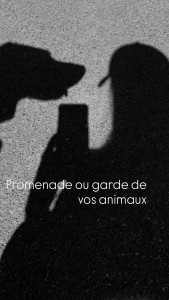 Photo de galerie - Garde animaux