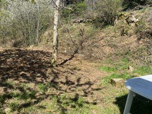 Photo de galerie - Débroussaillage a la mini-pelle 