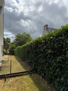 Photo de galerie - Jardinier