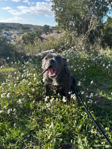 Photo de galerie - Promenade 