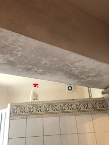 Photo de galerie - Moisissures avant 