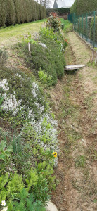 Photo de galerie - Tonte pelouse