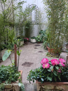 Photo de galerie -  bonjour 